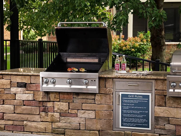 Outdoor grill and chef's kitchen
