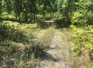 Burrows Rd, Wolverine, MI 49799