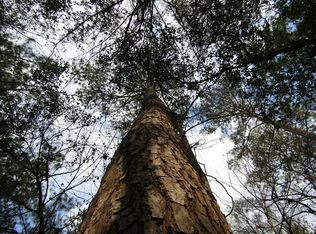 0 Lee Taylor Ln, Gloster, MS 39638