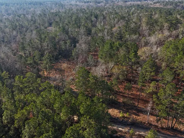 Tbd Baskin Loop, Livingston, TX 77351