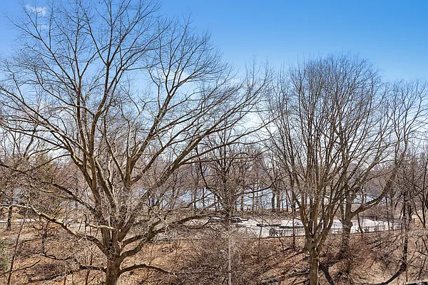 Sold by Douglas Elliman | media 2