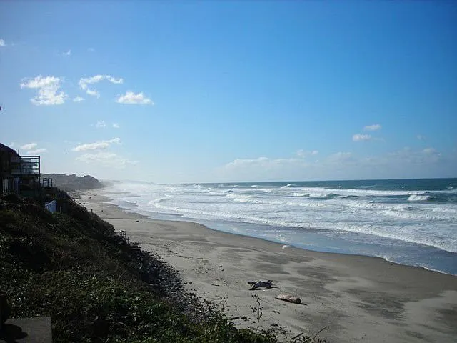 ocean front view