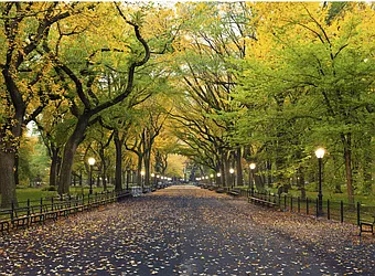 752 West End Avenue #15D image 1 of 9