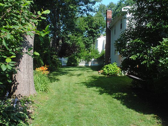 backyard looking west