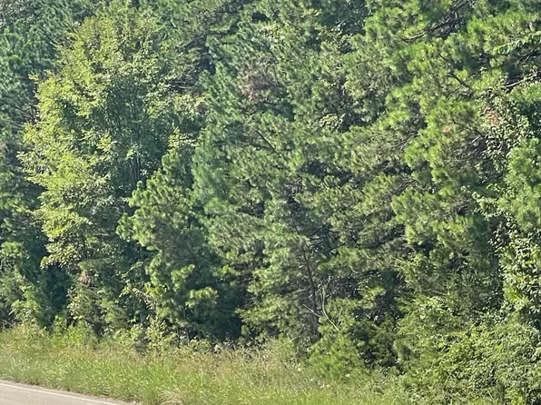 23029-65 Old Hwy, Omaha, AR 72662