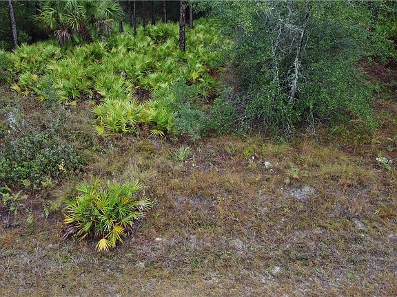 5th image of 11849 W Acacia Dr