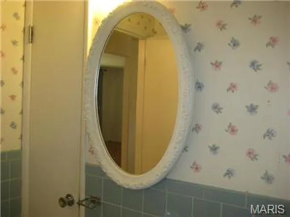 922 Everglade Ct, Saint Louis, MO 63137