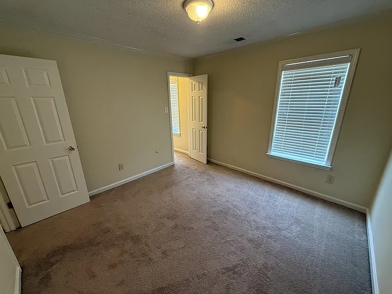 10011 Woodland Pine Cv W — Photo 29