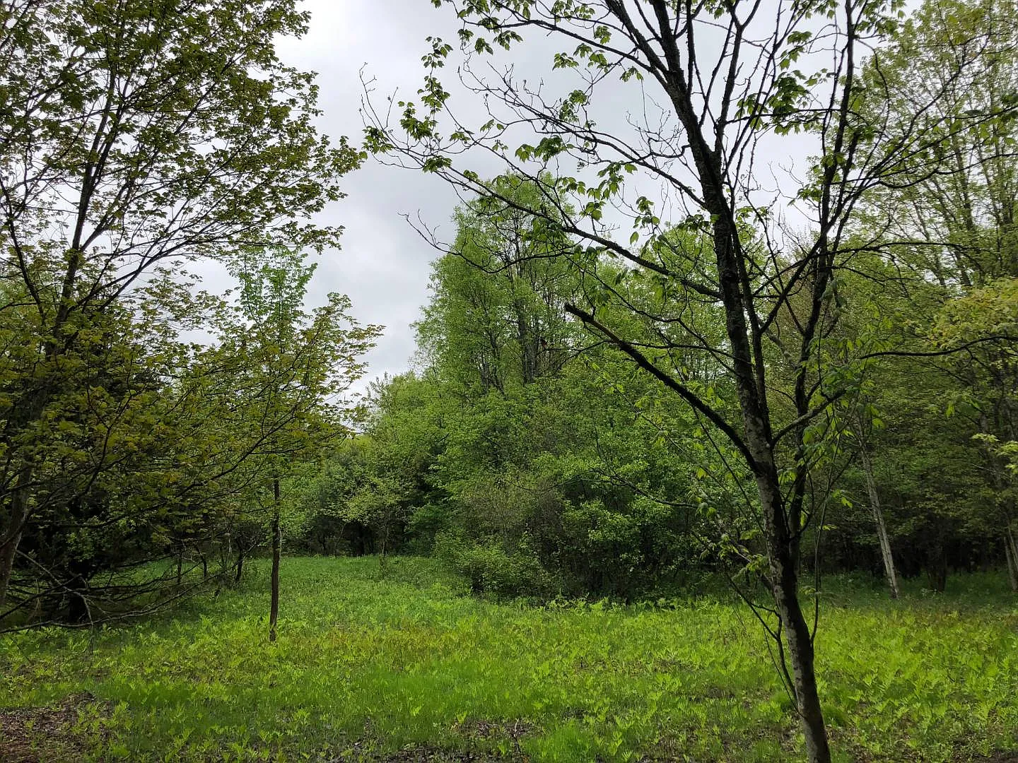 Curtiss Rd photo 1