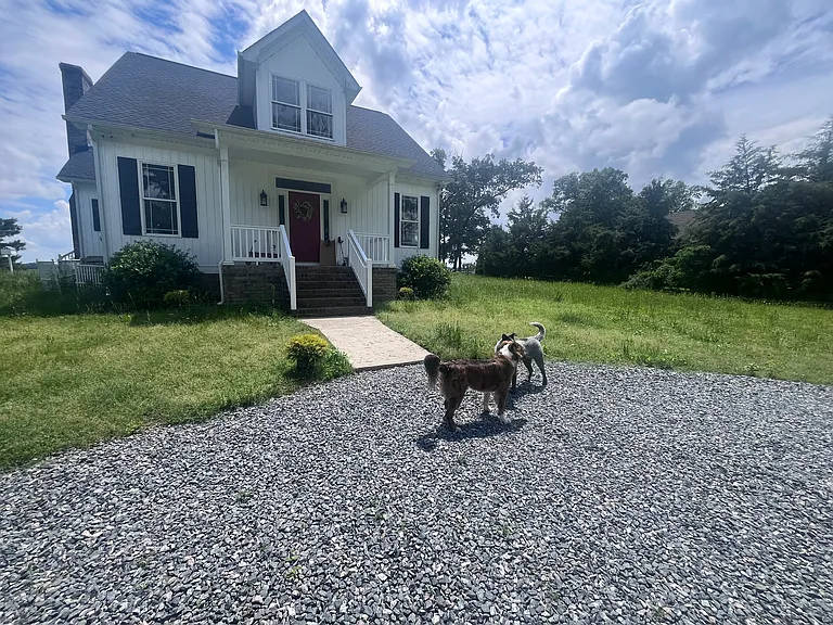 The front of the house with playful pups. __