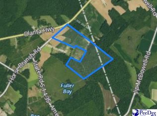 Horse Branch Rd, Turbeville, SC 29162