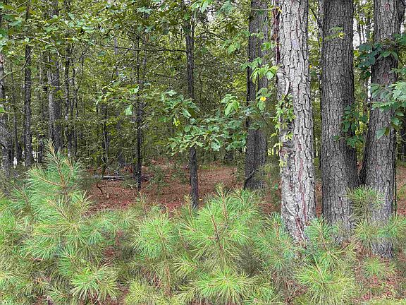4th image of LOT 9 Corinth Rd