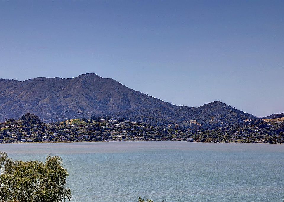 Mt Tam Views