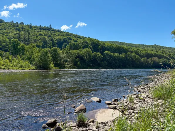 0 Coyote Ln, Equinunk, PA 18417