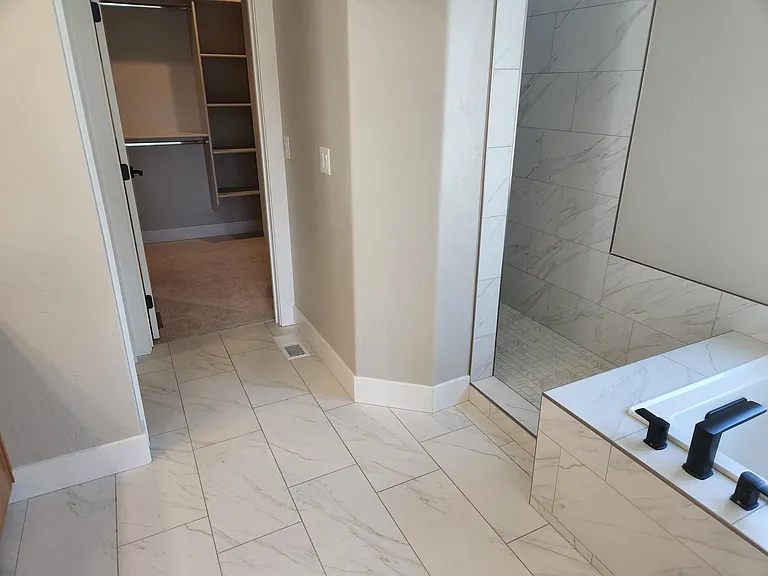 Master bath, tub and walk-in shower