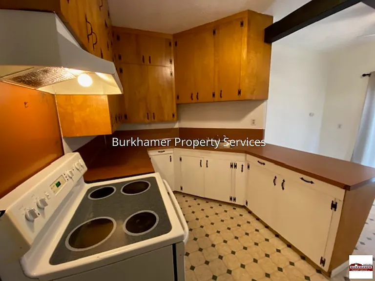 1315 W Young St — Photo 10