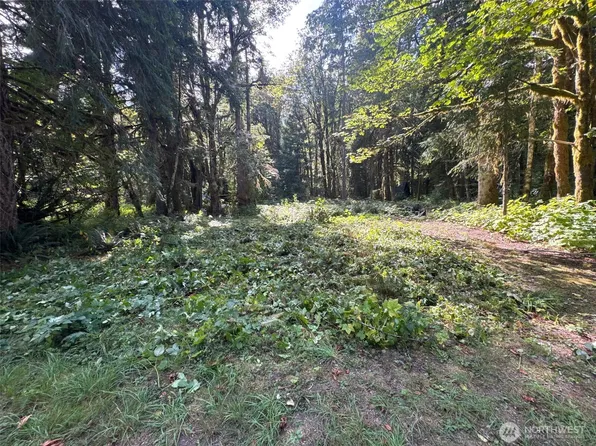 63645 NE 190th Street, Baring, WA 98224