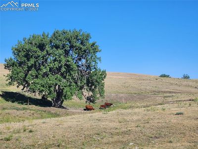 18925 County Road 105, Ramah, CO, 80832