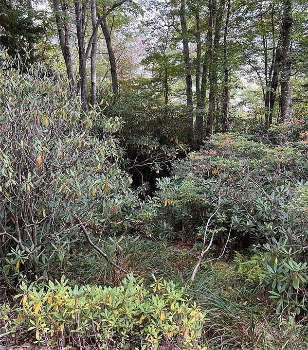 Delaware Dr C283284, Jim Thorpe, PA 18229 MLS 710514 Zillow