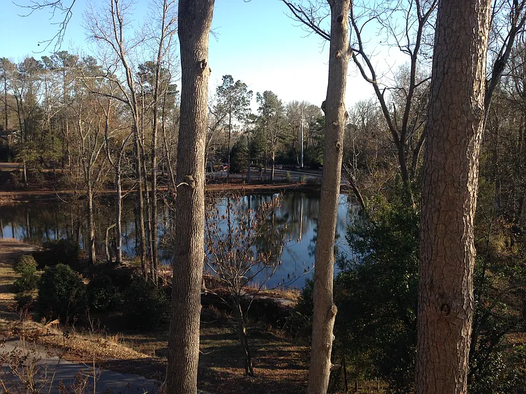 112 Crystal Lake Dr — Photo 8