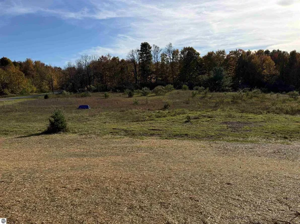PARCEL 1 S Tower Rd, Maple City, MI 49664