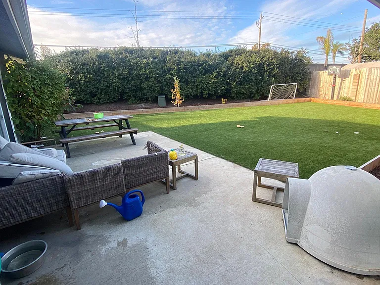 New turf backyard