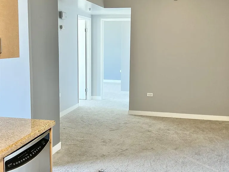 425 W Beech St #1157 — Photo 5