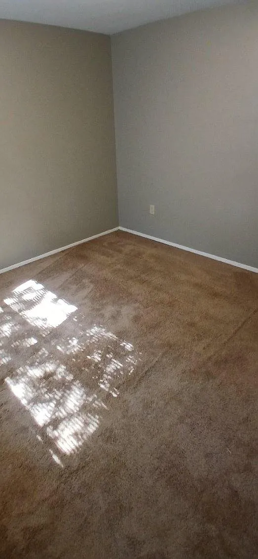 Long Meadow Apartments - C-15 — Photo 4