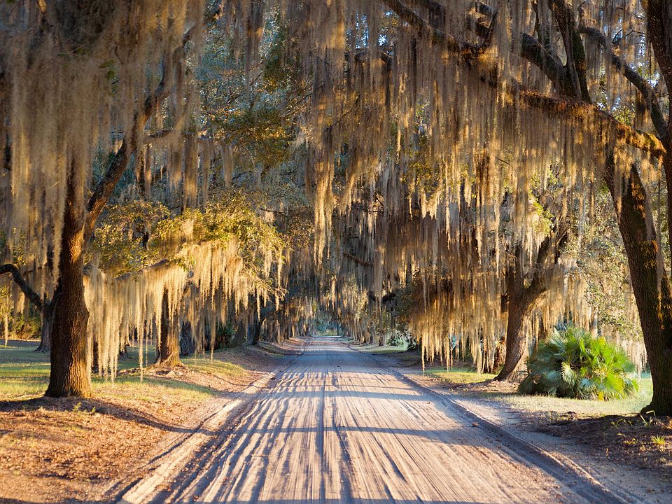 100th image of 1451 River Rd