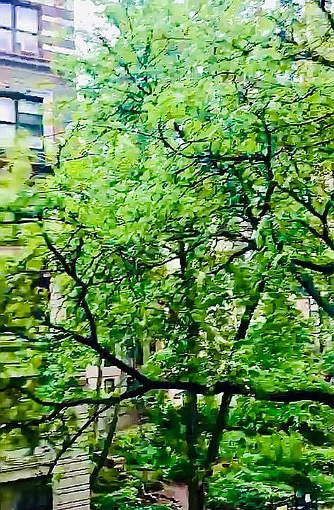 1st image of 500 W 111th St APT 3G