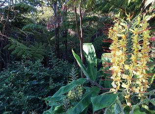 11-3047 Anuhea St LOT 2061, Volcano, HI 96785