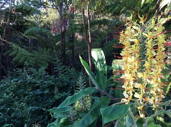 11-3047 Anuhea St Lot 2061, Volcano, HI 96785