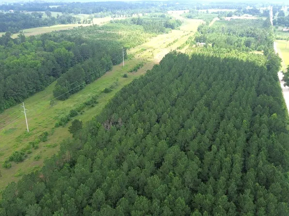 County Road 1830, Crockett, TX 75835