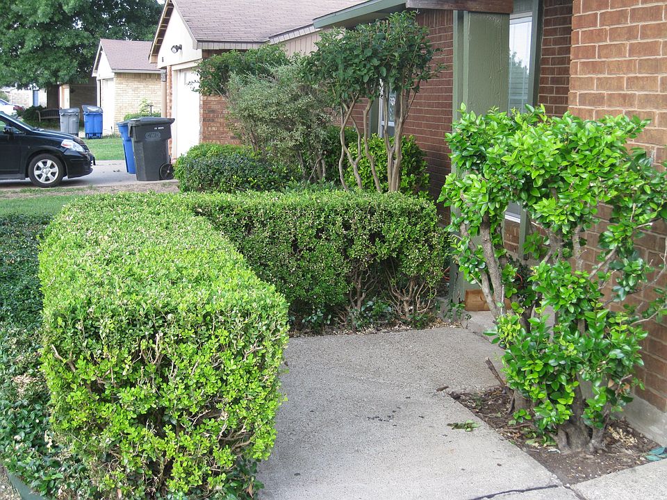 FRONT WALKWAY