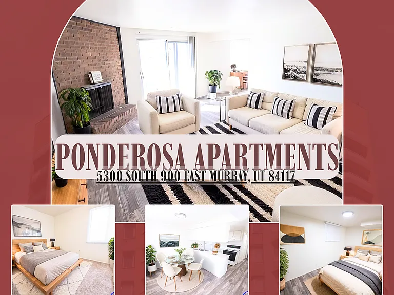 Ponderosa — Photo 79