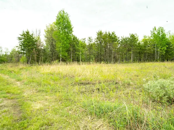 Brown Deer, Arkdale, WI 54613
