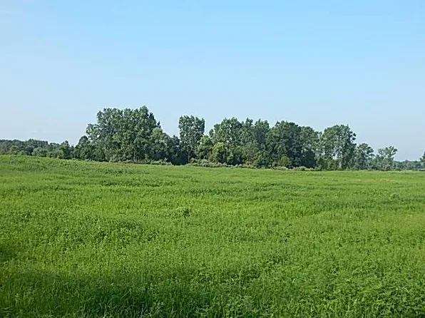 1611 E Hyde Rd, Saint Johns, MI 48879