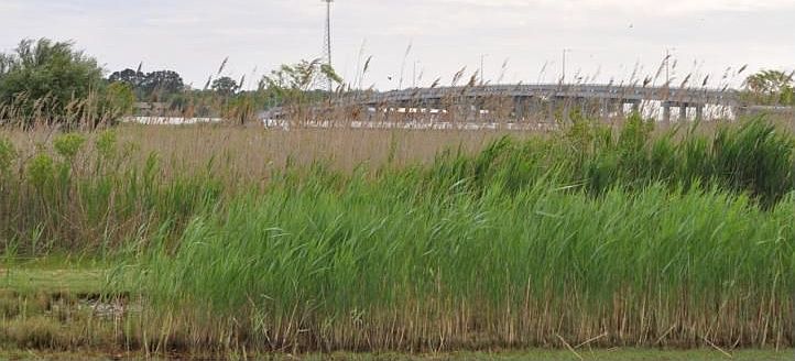 2nd image of 23427 Deal Island Rd