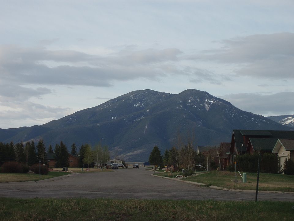 2nd image of Lot 80 Lazy M
