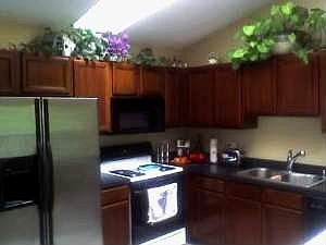 Updated Kitchen
