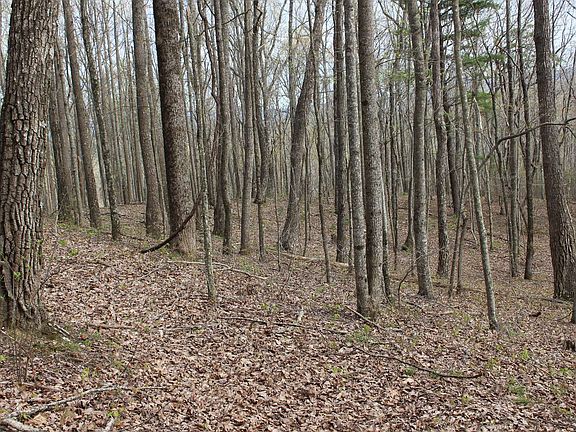 4th image of LOT 178 Trailwood Dr Lot 178