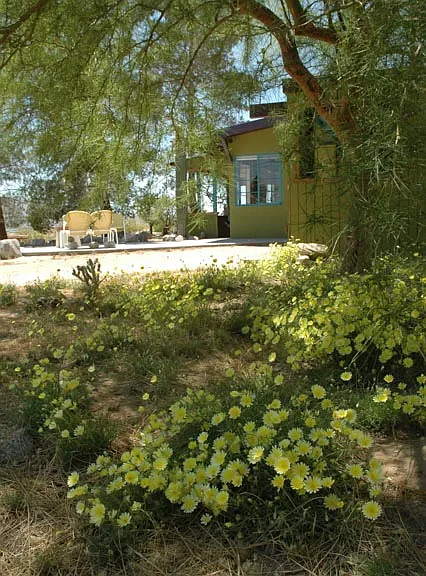 Desert Way — Photo 14