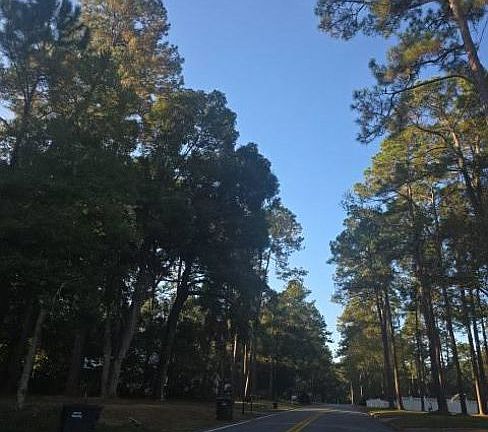 Exterior Neighborhood (street photo)