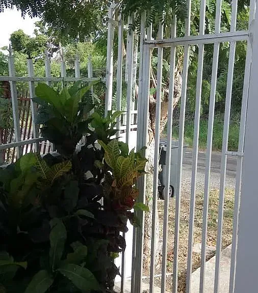 1/2 Paseo De Pesca — Photo 21