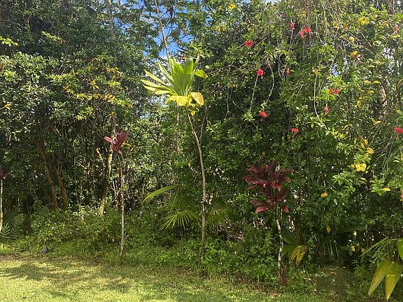 2nd image of Honu St Lot 3