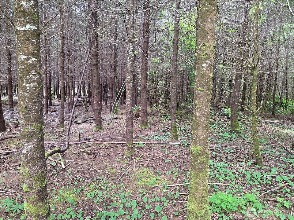 2nd image of 13 Beaver Hill Lane