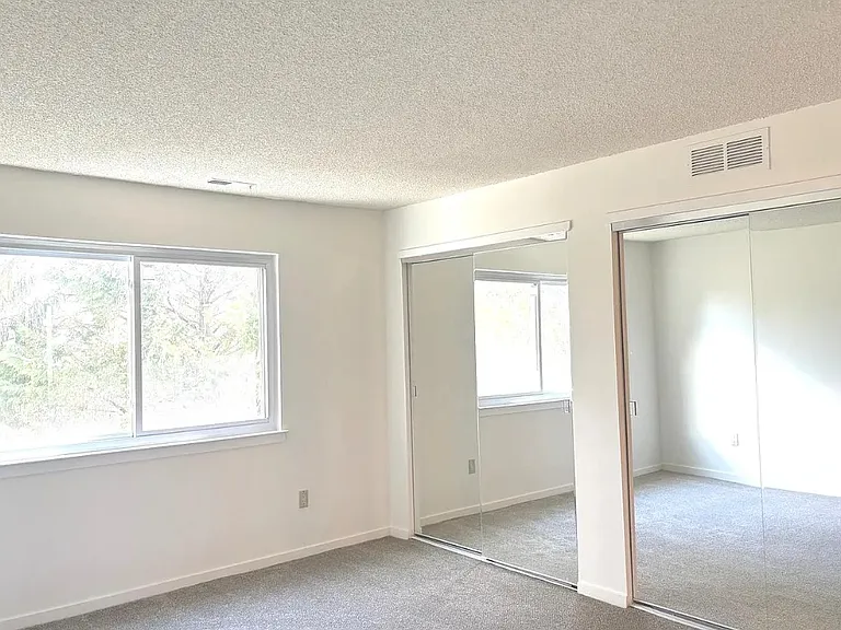 master bedroom window facing the woods