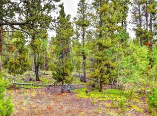 683 Coors Ct, Fairplay, CO 80440