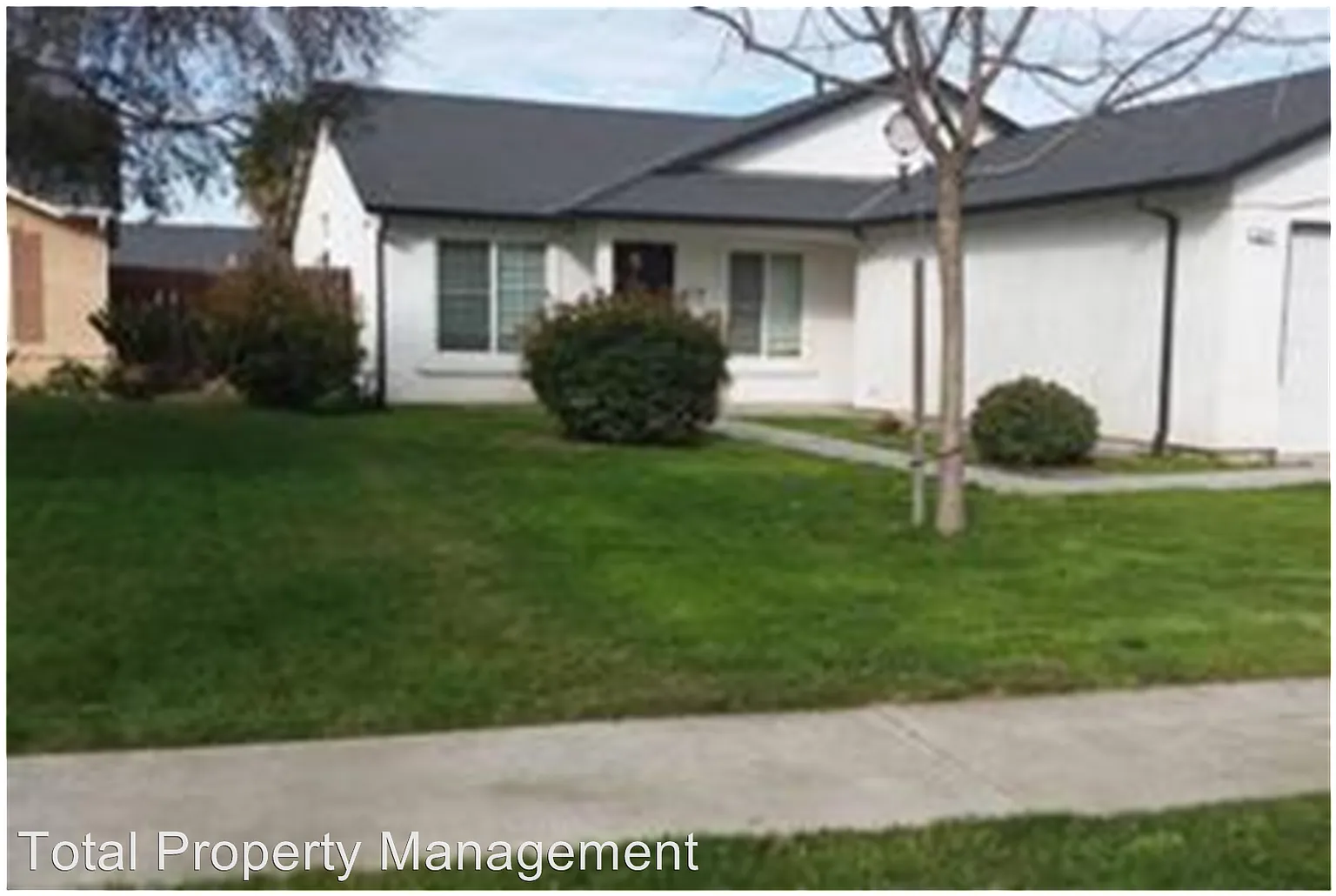 241 White St photo 1