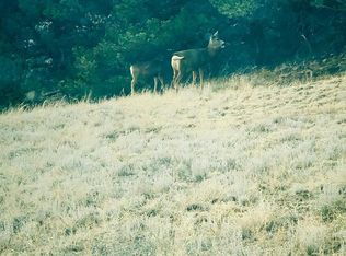 645 Shoshone Dr, Canon City, CO 81212